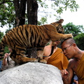 Thailand 2011 242.jpg
